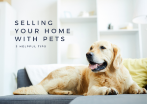 A dog rests on a sofa near text saying selling your home with pets